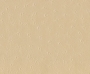 STRUŚ